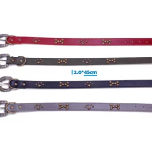 Correa de piel para Perro 2-45cm