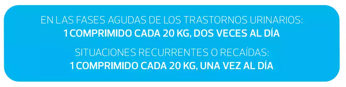 cystocure forte modo de empleo