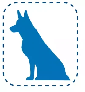 ILUSTRACION PERRO